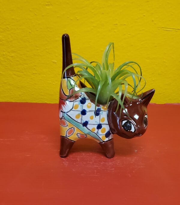 Succulent/Cactus mini kitty planter brown, talavera